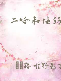 二哈和他的白猫