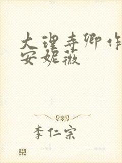 大理寺卿作者:安妮薇