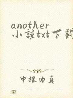 another小说txt下载