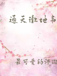 通天彻地韦小宝