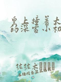 皇上撞着太子妃的深处小初
