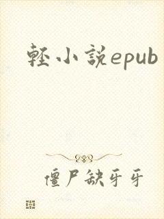 轻小说epub