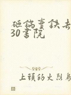 砸锅卖铁去上学30书院