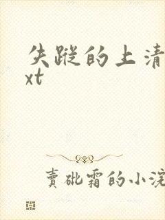 失踪的上清寺txt