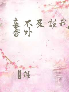 来不及说我爱你番外