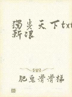 独步天下txt新浪