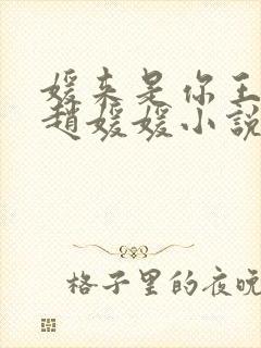 媛来是你王老汉赵媛媛小说