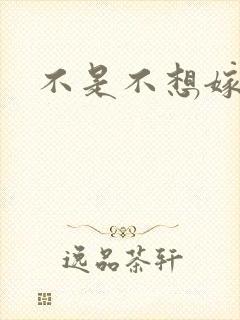 不是不想嫁全集