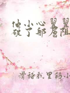 他小心翼翼的冲破了那层阻碍