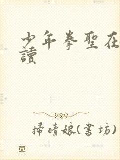 少年拳圣在线阅读