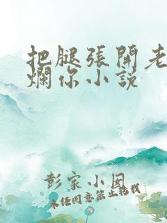 把腿张开老子臊烂你小说