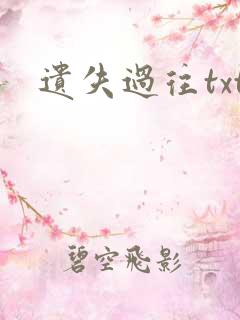 遗失过往txt