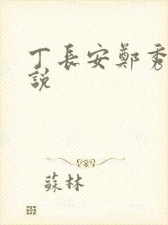 丁长安郑秀兰小说