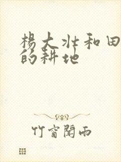 杨大壮和田桂花的耕地