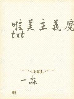 唯美主义魔法师txt