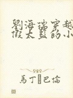 刘海瑞穿越后宫假太监的小说