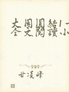 大团圆结1一6全文阅读小说