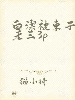 白洁被东子老二老三3p