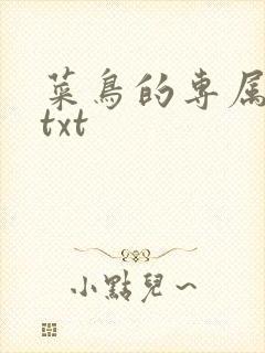 菜鸟的专属大神txt