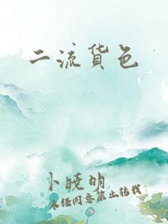 二流货色