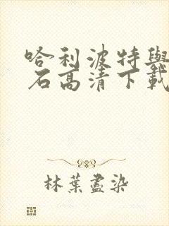 哈利波特与魔法石高清下载