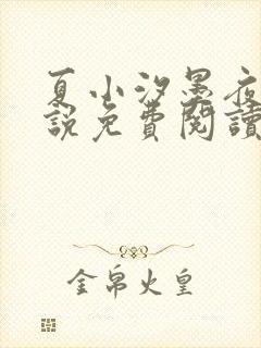 夏小汐墨夜霆小说免费阅读