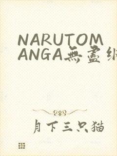 NARUTOMANGA无尽纲手