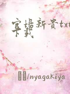 官场新贵txt下载