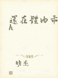 还在体内乖吃饭h