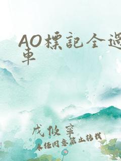 AO标记全过程车