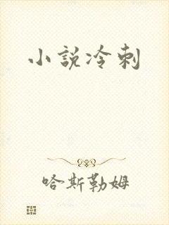 小说冷刺
