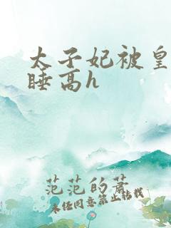 太子妃被皇上强睡高h