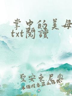 掌中的美母版主txt阅读