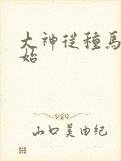 大神从种马文开始