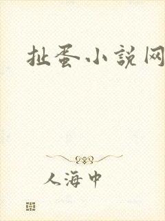 扯蛋小说网