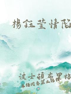 杨钰莹情陷红楼