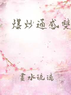 爆炒通感双胞胎