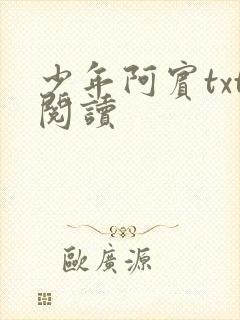 少年阿宾txt阅读