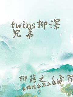 twins柳泽兄弟