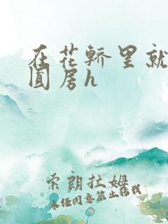 在花轿里就开始圆房h