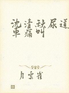 沈清秋尿道扩张车痛叫