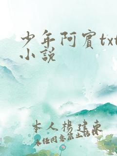 少年阿宾txt小说