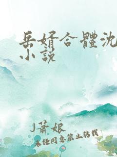 岳婿合体沈绝的小说