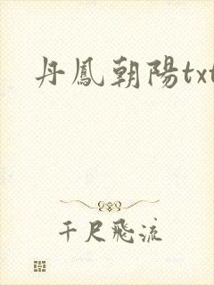 丹凤朝阳txt