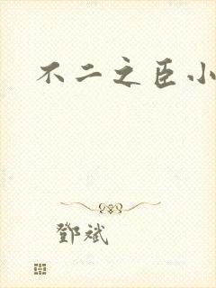 不二之臣小说