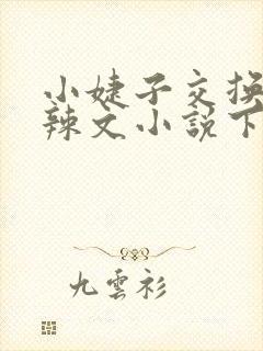 小婕子交换系列辣文小说下载