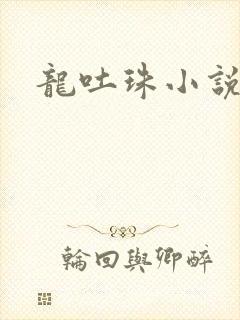 龙吐珠小说