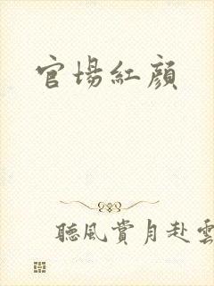 官场红颜