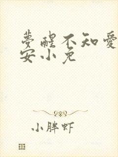 梦醒不知爱欢凉安小免