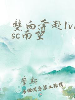双向奔赴1v1sc南望